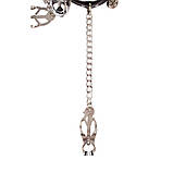 Набір БДСМ - нашийник Chisa Sins Master Control із затискачами для сосків, чорний-сріблястий kitty.in.ua, фото 4