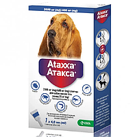 Краплі на холку для собак 25-40 кг Ataxa від бліх і кліщів 1 піпетка 4 мл KRKA термін 12.2025