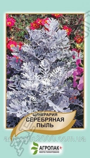 Насіння Цінерія Срібний пил 0,1 грама Агропак