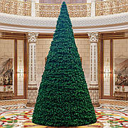 Ялинки високі конусні