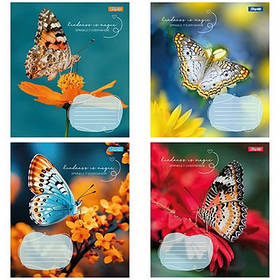 Зошит 36арк клітинка 1В Butterfly 767323