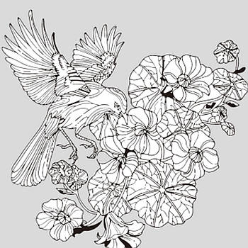 Набір для розпису-антистрес Strateg Пташина гармонія 30х30 см Strateg (JCEE37102)