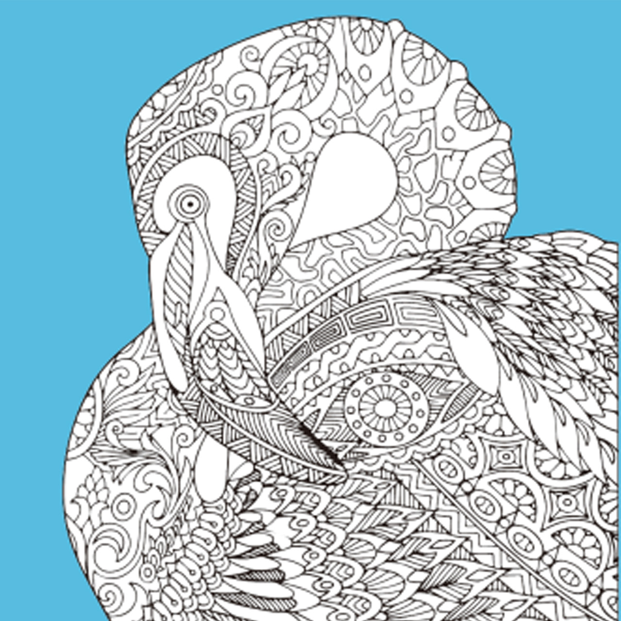 Набір для розпису-антистрес Strateg Чарівний птах 30х30 см Strateg (JCEE37114), фото 1