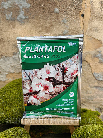 ПлантаФОЛ 25г 10.54.10 Valagro, фото 1