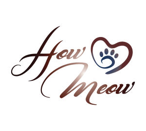 How Meow