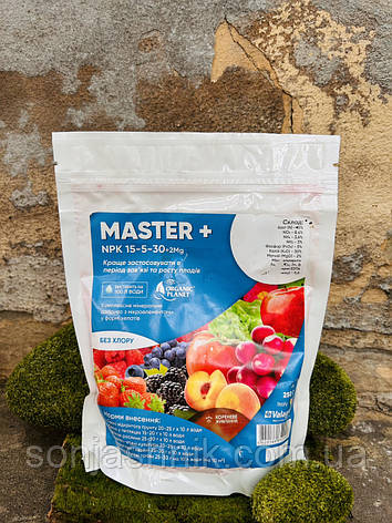 Майстер 250гр 15*5*30 Valagro, фото 1