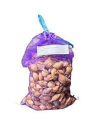 Цибуля  Болеро (Голіат, Стурон) Broer - 1 кг