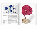 Ів Кляйн книги про життя великих художників Yves Klein - Taschen Подарункові книги про мистецтво, фото 5