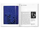 Ів Кляйн книги про життя великих художників Yves Klein - Taschen Подарункові книги про мистецтво, фото 7