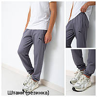 Cпортивні штани  Puma (замок) св.фуме