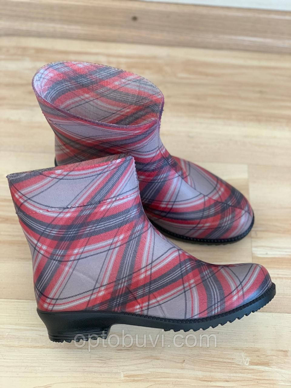 Напівчоботи гумові жіночі Litma