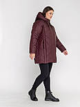 Жіноча зимова куртка нової колекції, фото 3