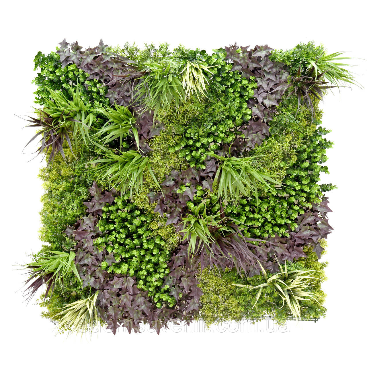 Декоративне покриття-фітостіна Engard «Monet Gardens», 100х100 см (GCK-25)