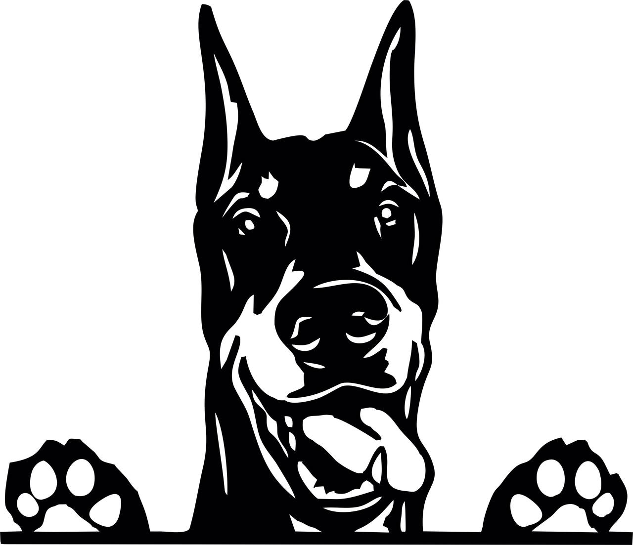 Наклейка вінілова Доберман Doberman 25х22, фото 1