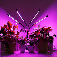 Фітолампа для рослин на чотири лампи Led Plant Grow Light, ультрафіолетова світлодіодна гнучка фіто лампа TRF84