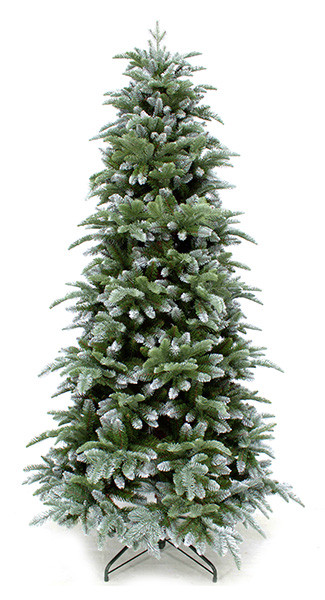 Ялина 185 см з інієм, Abies Nordmann
