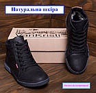 Теплі зимові спортивні черевики з натуральної шкіри з натуральним хутром Levis Black Classic високі зимові шкіряні кеди, фото 2