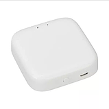 Шлюз керування PROLUM™ BLUETOOTH;  TUYA; HomeLink;, фото 8