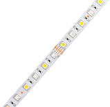 Світлодіодна LED стрічка PROLUM™ 12V; 5050\60; IP20; Series "SG", RGB+W, фото 3