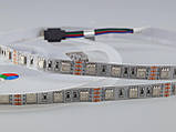 Світлодіодна LED-стрічка гнучка 12 V PROLUMTM IP20 5050/60 Series "PRO", Білий (5500-6000К), фото 6