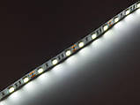 Світлодіодна LED-стрічка гнучка 12 V PROLUMTM IP20 5050/60 Series "PRO", Білий (5500-6000К), фото 9