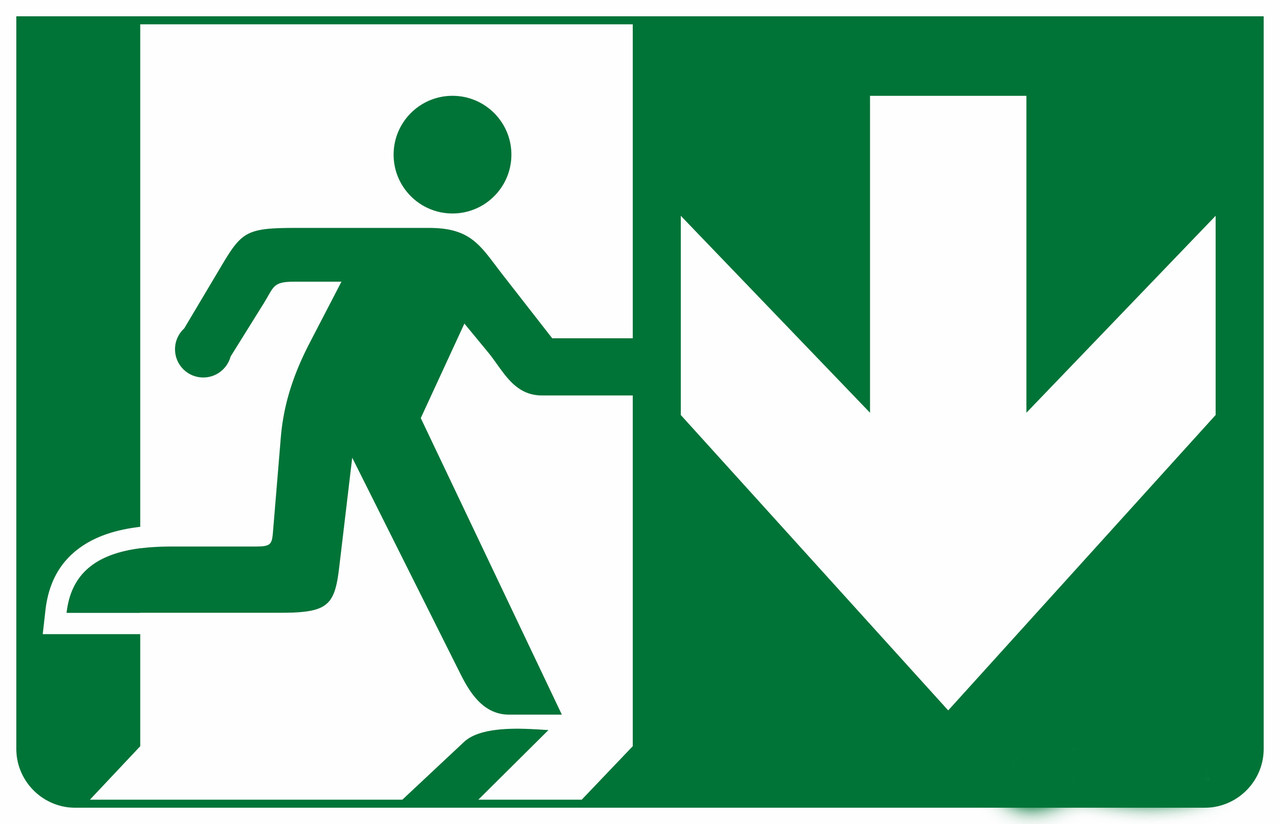 Інформаційна наклейка на світильник 233х150мм Exit_Down (REL801,802), фото 1