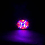 Світлодіодна фитолампа VENOM 3W SMD2835 220В, фото 3