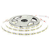 Світлодіодна стрічка біла холодна 24V AVT smd2835 120 LED/м IP20, фото 3