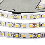 Світлодіодна стрічка біла холодна 24V AVT smd2835 120 LED/м IP20, фото 4