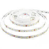 Led стрічка 12 В біла smd2835 60 LED/m IP20, 1 м, фото 3