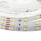 Led стрічка 12 В біла smd2835 60 LED/m IP20, 1 м, фото 4