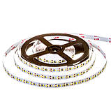Led стрічка 12В біла AVT smd3014 204LED/m IP20, 1 м, фото 3