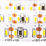 Led стрічка 12В біла AVT smd3014 204LED/m IP20, 1 м, фото 4