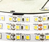 Led стрічка 12В біла тепла AVT-New smd2835 120LED/m IP20, 1 м, фото 4
