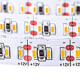 Led стрічка 12 В AVT тепла біла smd3014 204LED/m IP20, 1 м, фото 4