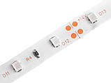 Світлодіодна стрічка 2835-60led-8mm-12V, IP20 одинарна плата синій LEDUA, фото 3