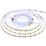 Світлодіодна стрічка 12 в Motoko біла нейтральна smd3528 120led/м негерметична, 1 м, фото 3