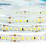 Led стрічка AVT 24В холодна біла smd2835 168LED/m IP20, 1 м, фото 4
