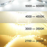 Світлодіодна LED стрічка PROLUM™ 12V; 2835\120; IP20; Series "PRO", Білий (5500-6000К), фото 7