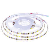 Світлодіодна стрічка 12 В біла нейтральна AVT New smd3528 120led/м негерметична, 1 м, фото 3