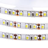 Світлодіодна стрічка 12 В біла нейтральна AVT New smd3528 120led/м негерметична, 1 м, фото 4