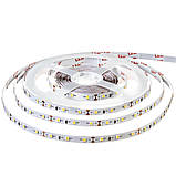 Світлодіодна стрічка нейтральна 12 V smd2835 60 LED/м IP20, фото 3