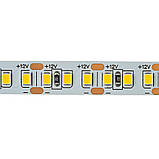 Світлодіодна стрічка нейтральна біла 12 V AVT smd2835 168LED/м IP20, фото 3