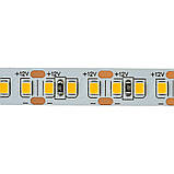 Світлодіодна стрічка тепла біла 12 V AVT smd2835 168LED/м IP20, фото 4