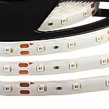Led стрічка 12 В червона smd2835 60 LED/m IP20, 1 м, фото 4