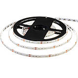 Led стрічка 12В жовта smd2835 60 LED/m IP20, 1 м, фото 2