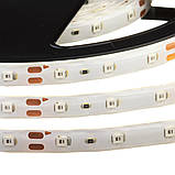 Led стрічка 12В червона smd2835 60LED/m IP65, 1 м, фото 4