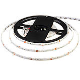 Led стрічка 12В червона smd2835 60LED/m IP65, 1 м, фото 3