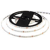 Led стрічка 12В зелена smd2835 60LED/m IP65, 1 м, фото 3
