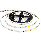 Led стрічка 12В біла smd3528 60LED/m IP65, 1 м, фото 3